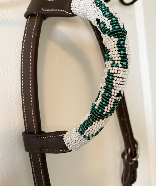cactus headstall