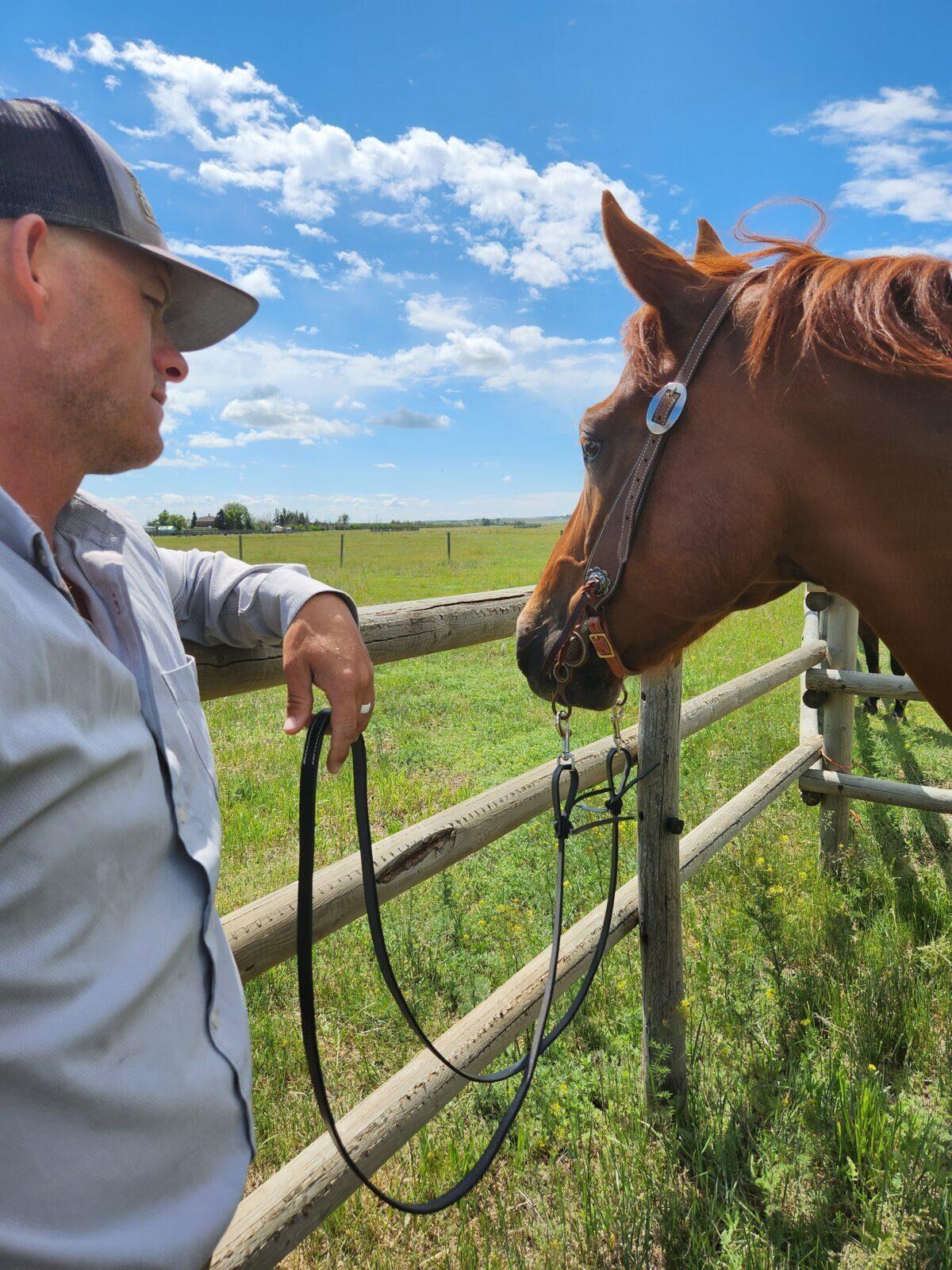 Vaquero- Chocolate Roughout - One Ear Headstall - Image 11