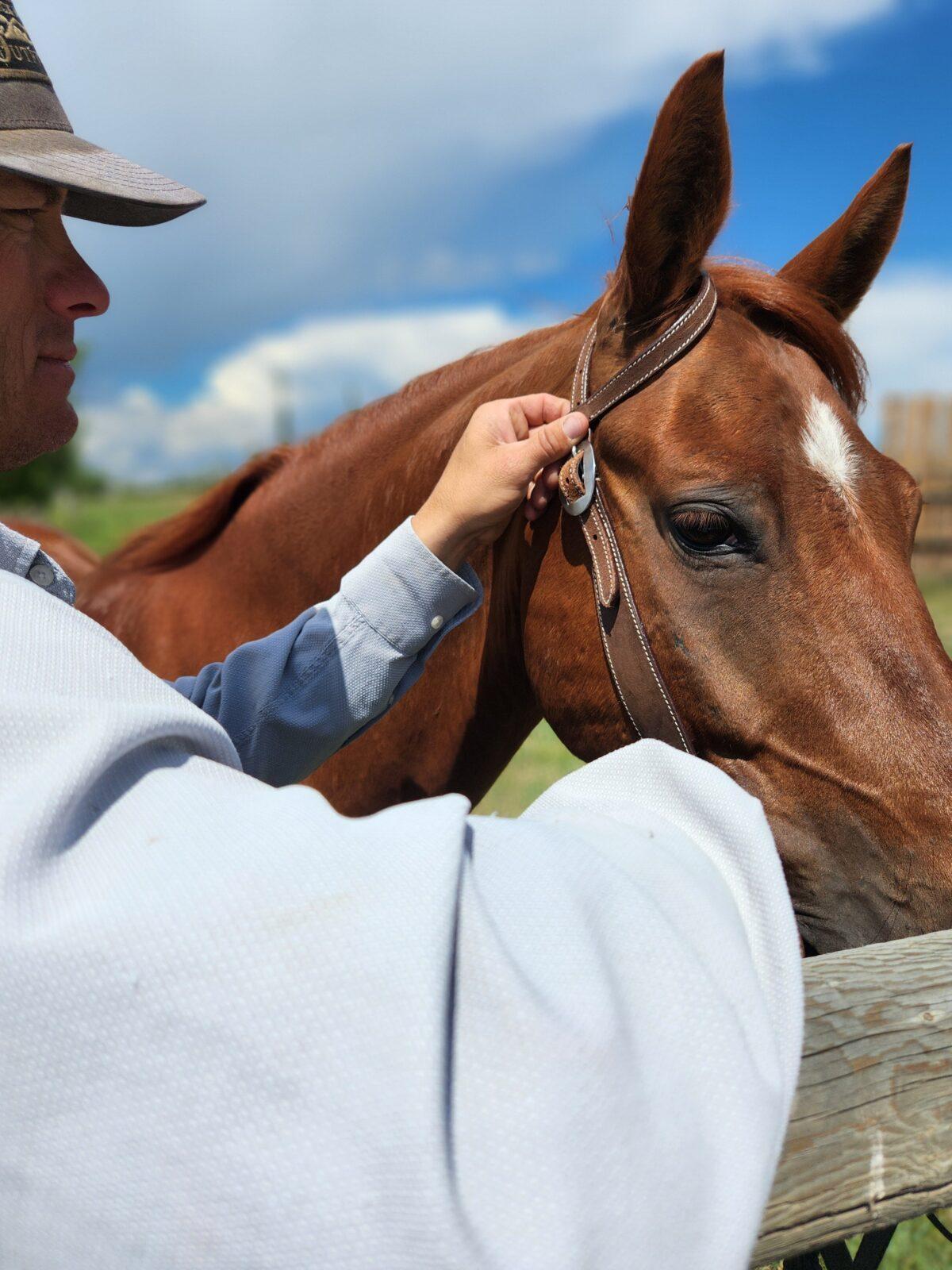 Vaquero- Chocolate Roughout - One Ear Headstall - Image 9