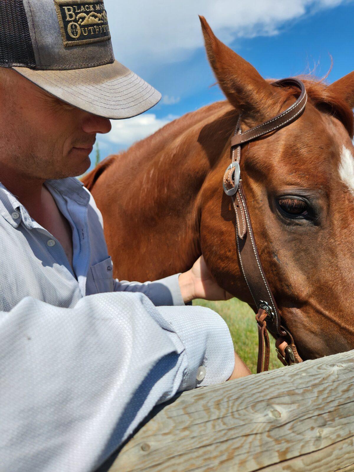 Vaquero- Chocolate Roughout - One Ear Headstall - Image 10