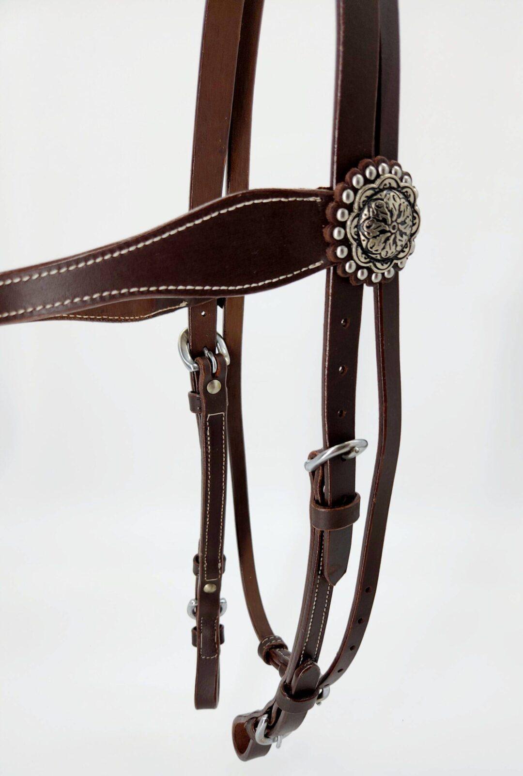 Buffalo Browband Headstall With Silver Conchos - Image 13