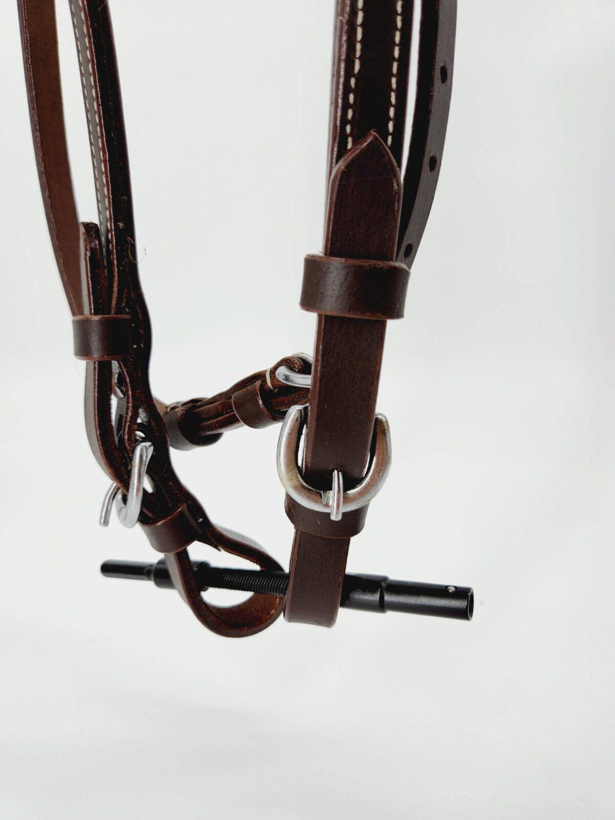 Buffalo Browband Headstall With Silver Conchos - Image 6