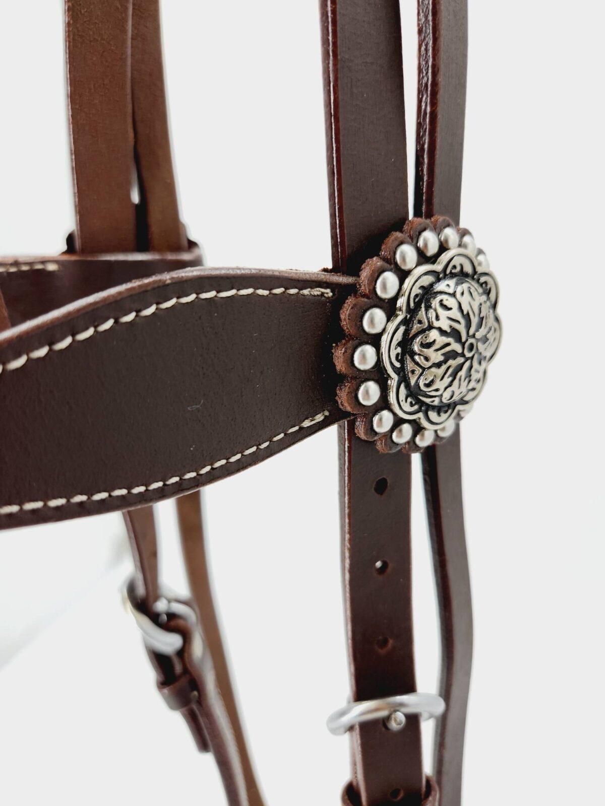 Buffalo Browband Headstall With Silver Conchos - Image 4