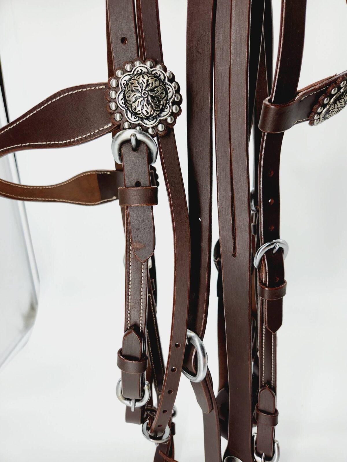 Buffalo Browband Headstall With Silver Conchos - Image 14