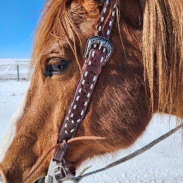 White Buckstitch- Belt Style Headstall Split Ear - Image 9
