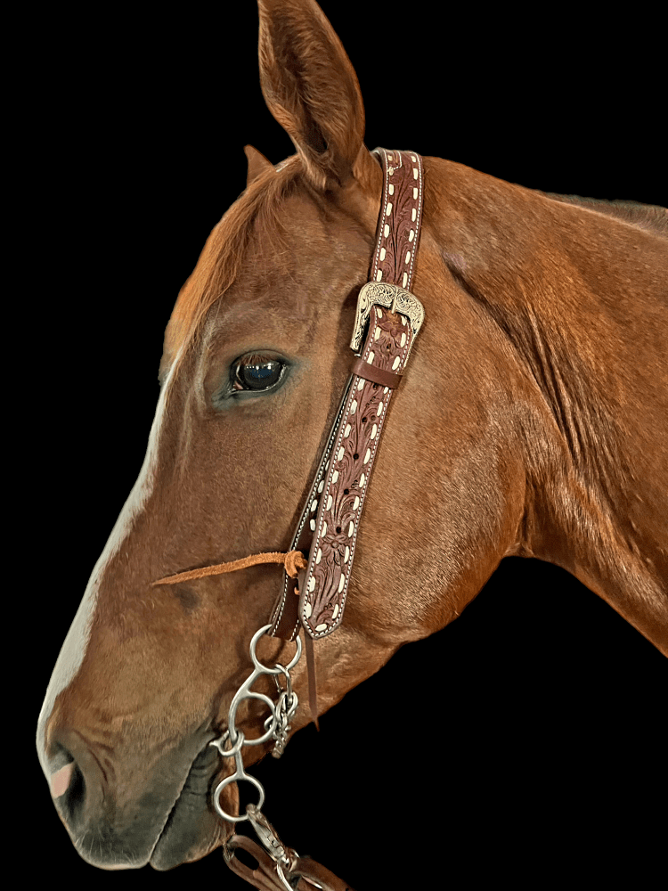 White Buckstitch- Belt Style Headstall Split Ear - Image 8