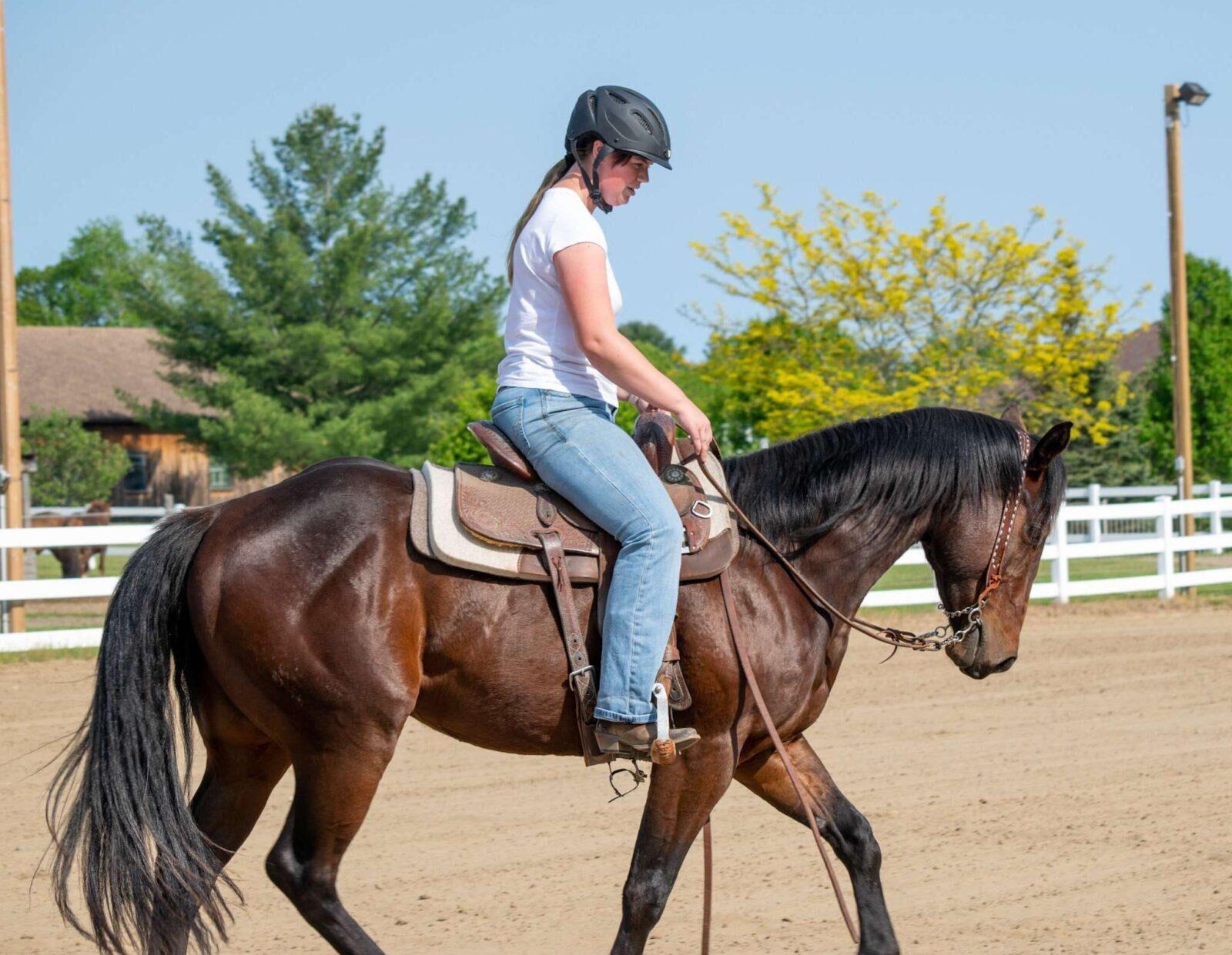 White Buckstitch- Belt Style Headstall Split Ear - Image 5
