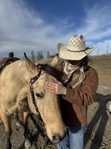 ranch hand mosquito creek horses
