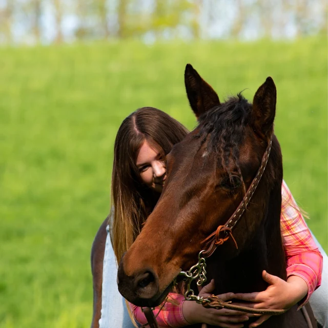 White Buckstitch- Belt Style Headstall Split Ear - Image 4